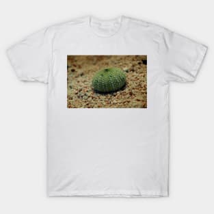 Sea Urchin on a Beach T-Shirt